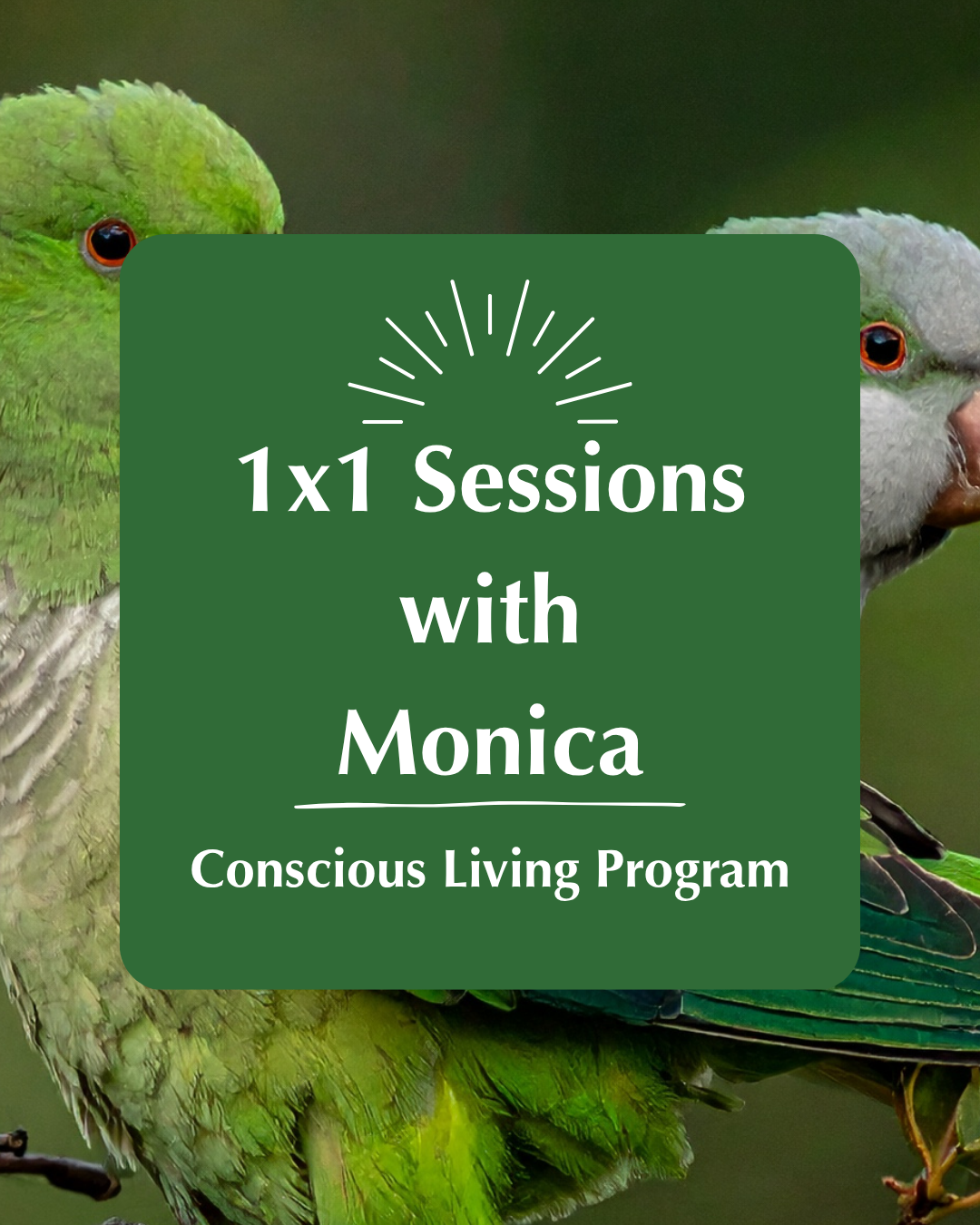 Conscious Living Program | Sessions with Monica