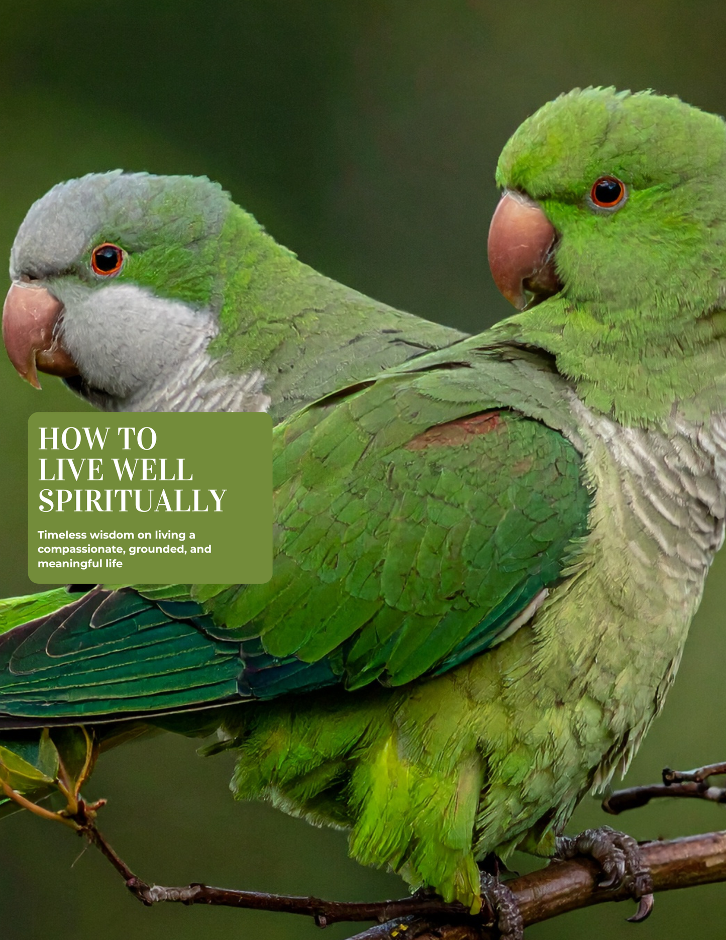 How to Live Well Spiritually | Tuesdays Starting April 21st