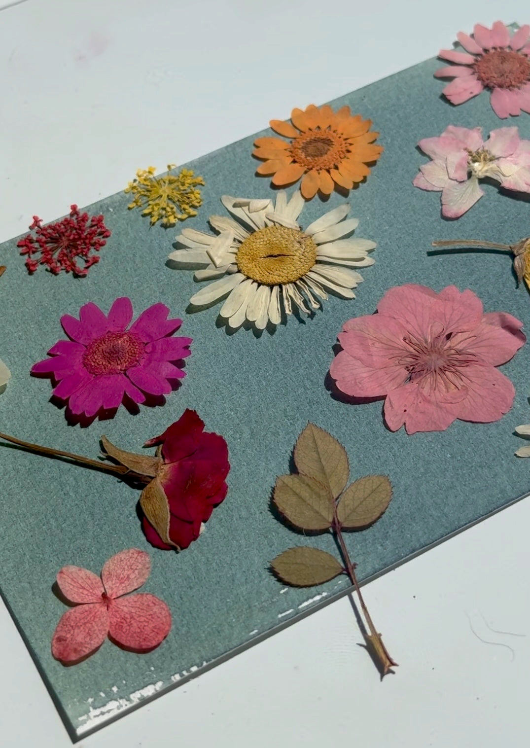 Second Saturday Sun Print: Cyanotype Art with Nature
