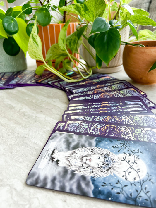 Tarot readings in Austin texas and online by women of color. Small business in austin texas, latina owned, tarot reader, bachelorette parties, divorce parties, weddings, birthdays, private events, corporate events, tarot for conferences